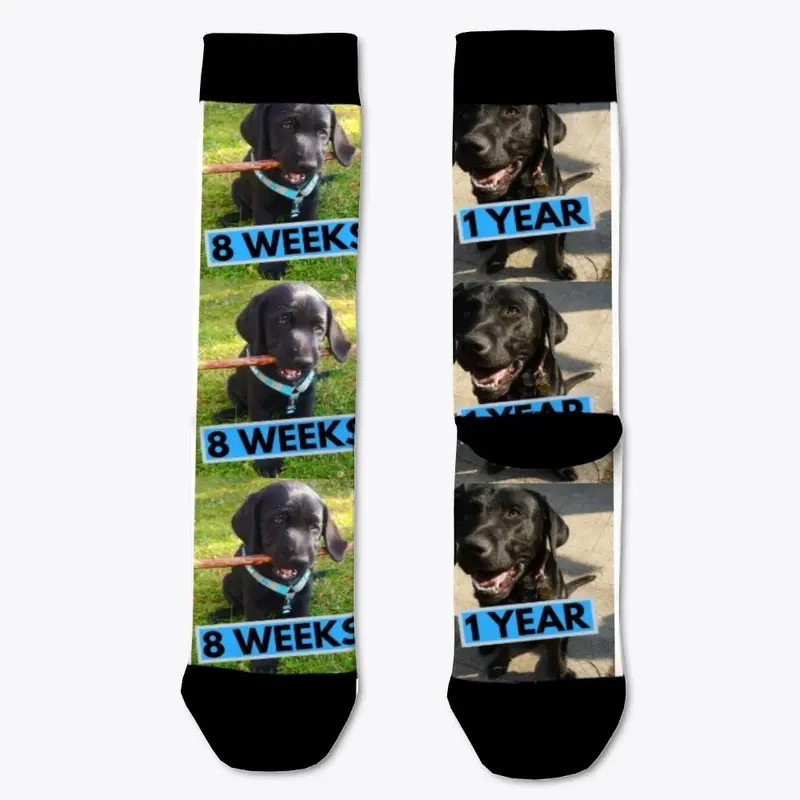 Black lab socks