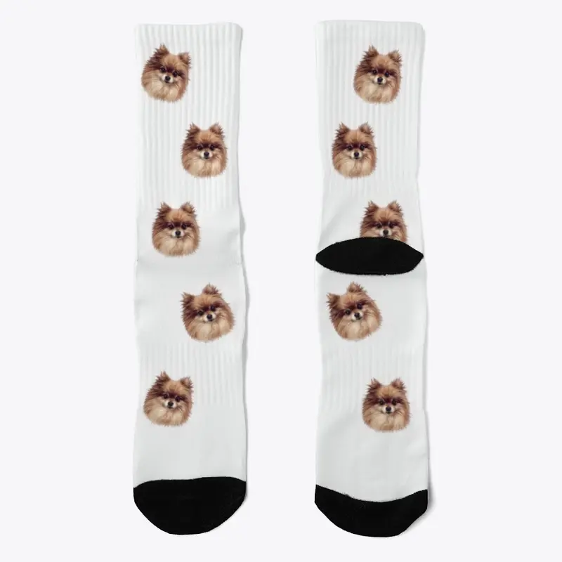 Pomeranian socks