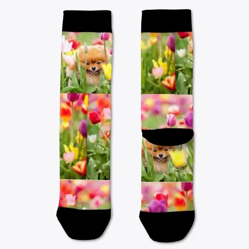 Pomchi Socks