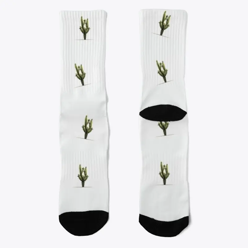 Cactus Socks 