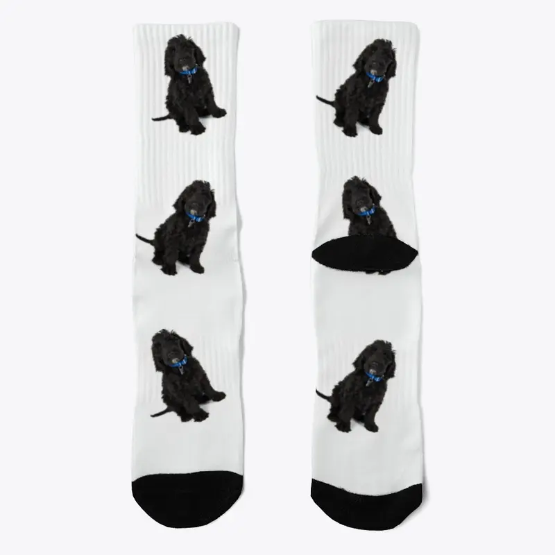 Black Labradoodle socks